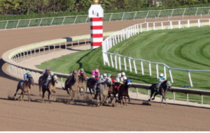 sports betting